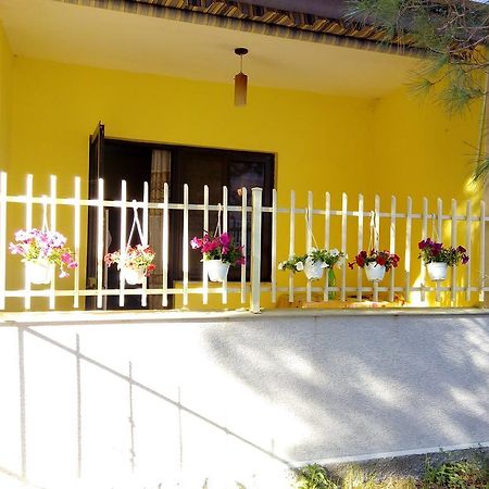 Klea Rooms Velipojë Dış mekan fotoğraf