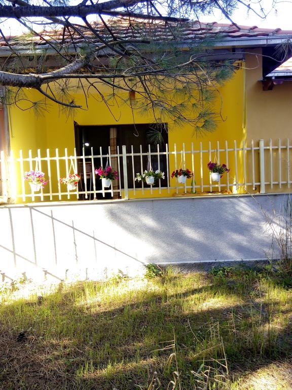Klea Rooms Velipojë Dış mekan fotoğraf